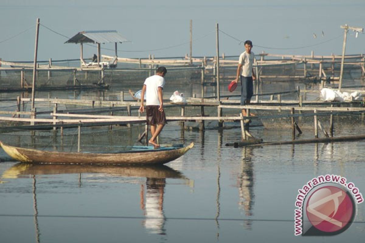 Air sungai di Agam tercemar mikrobiologi