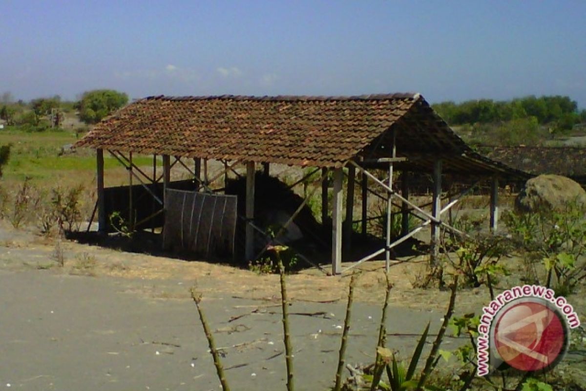 Bantul berencana inventarisasi tumbuhan kawasan pantai selatan