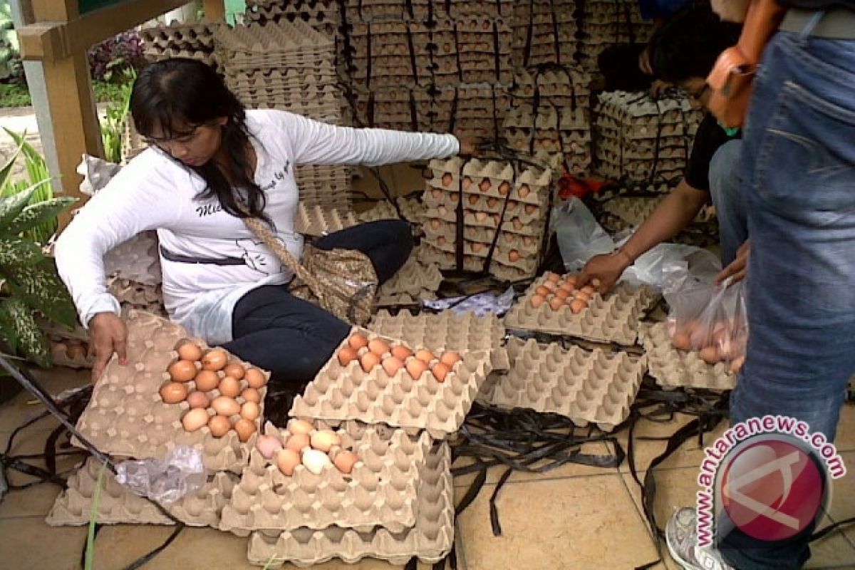 Telur dan Daging Ayam Naik di Pontianak