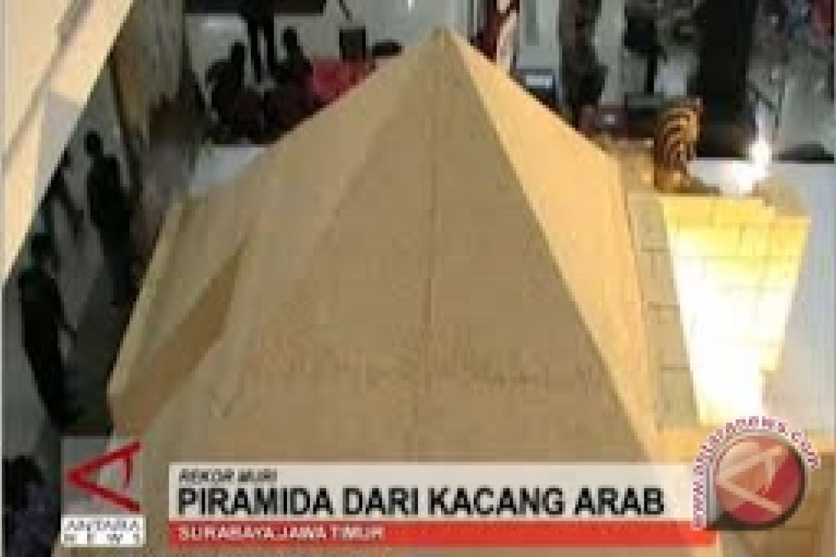 Piramida Kacang Arab Raih Rekor MURI