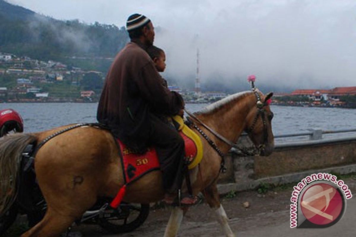 Tidak benar tudingan penyeiksaan kuda di Trawangan