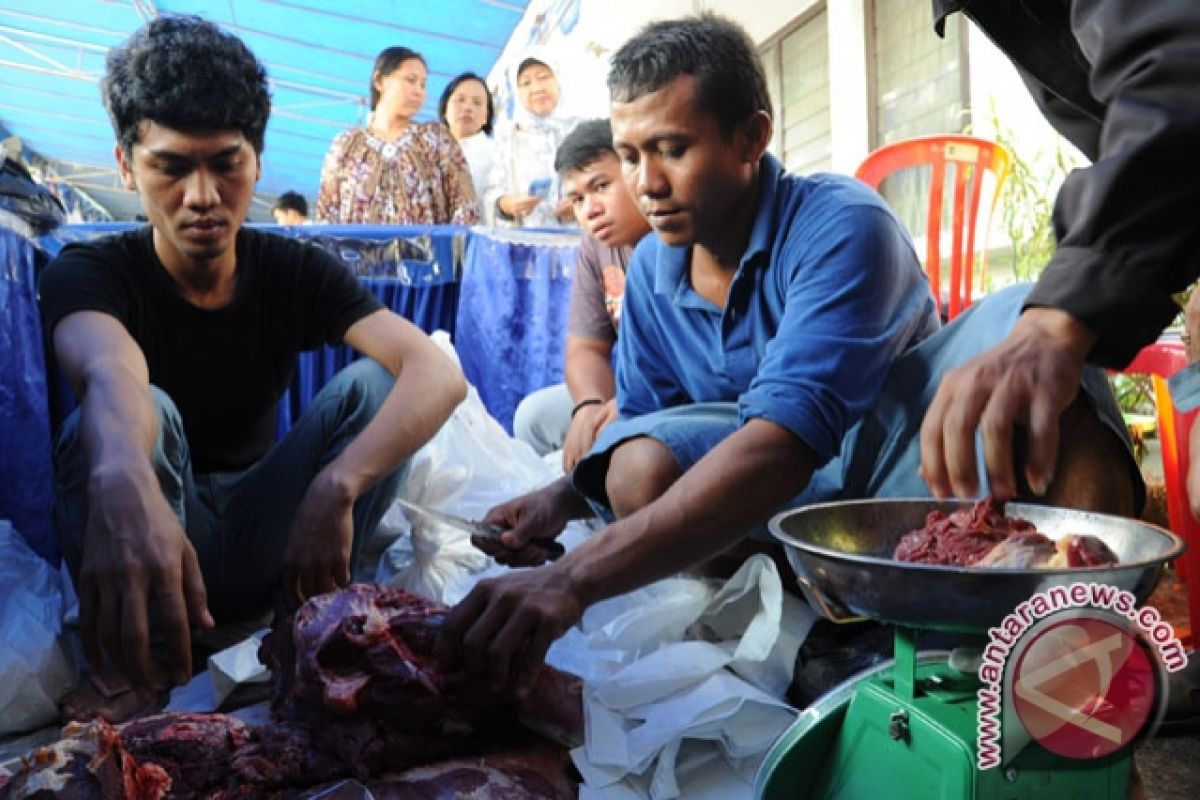 Pasokan daging sapi belum normal