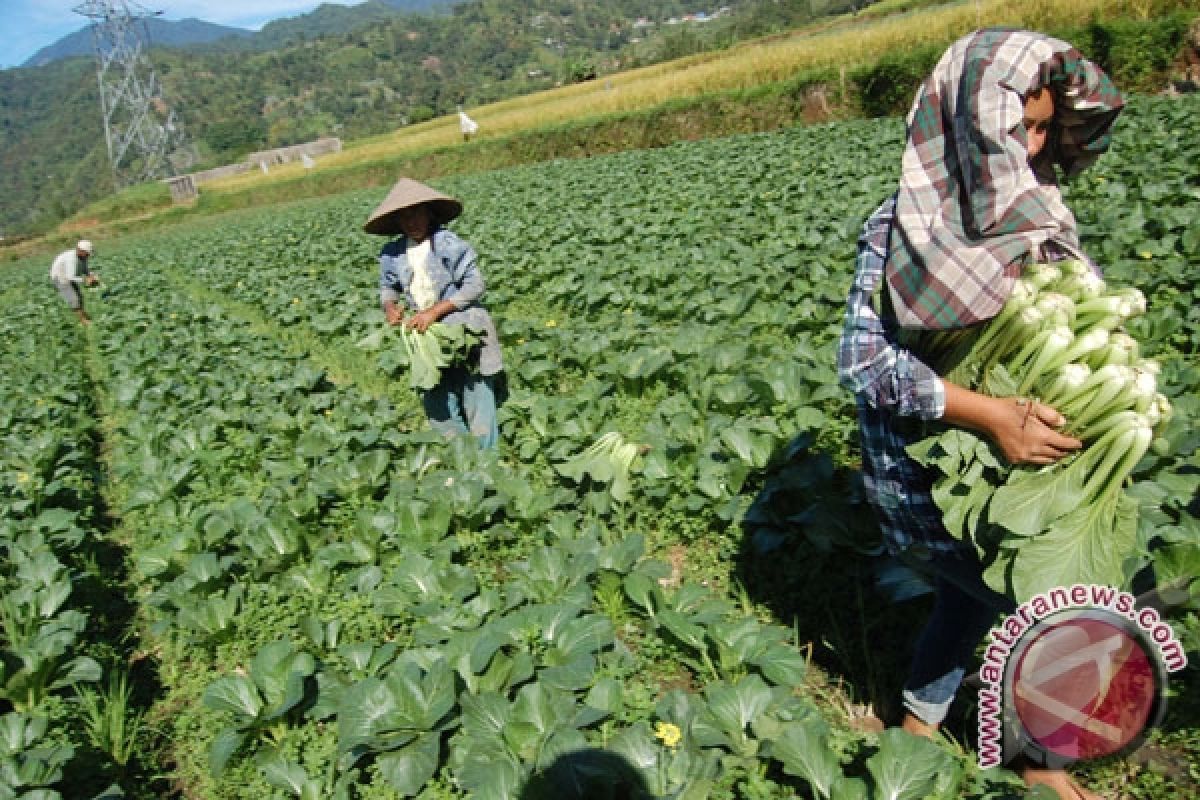 Indonesia kirim ahli pertanian ke Myanmar