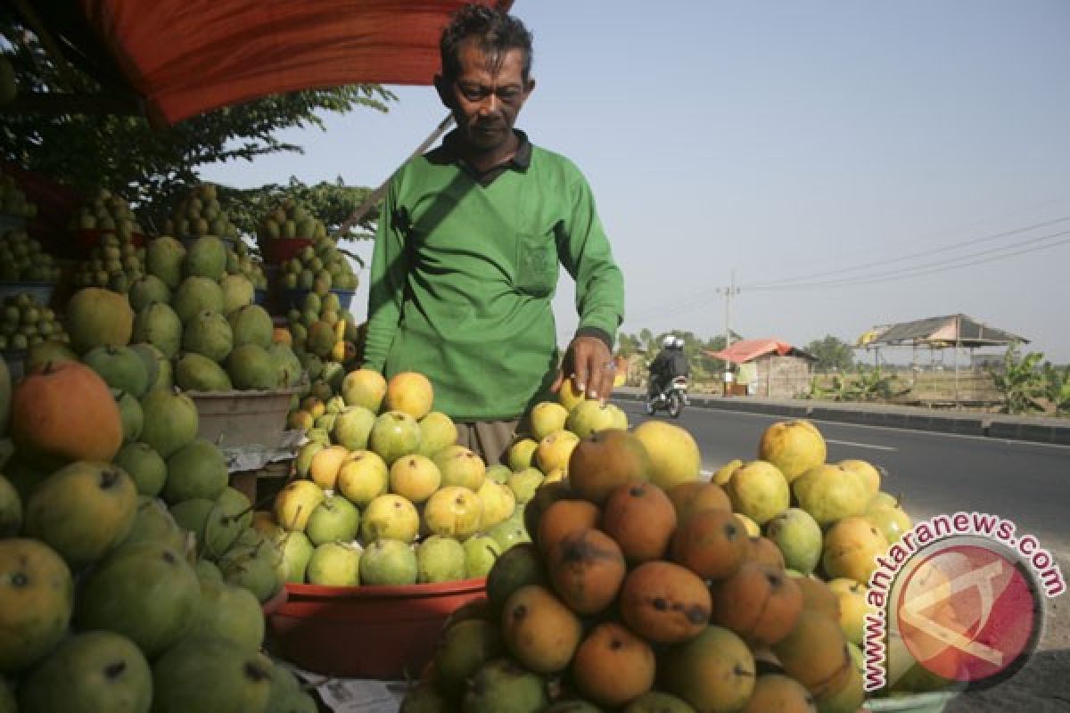 Govt to continue increasing quality, production of local fruits
