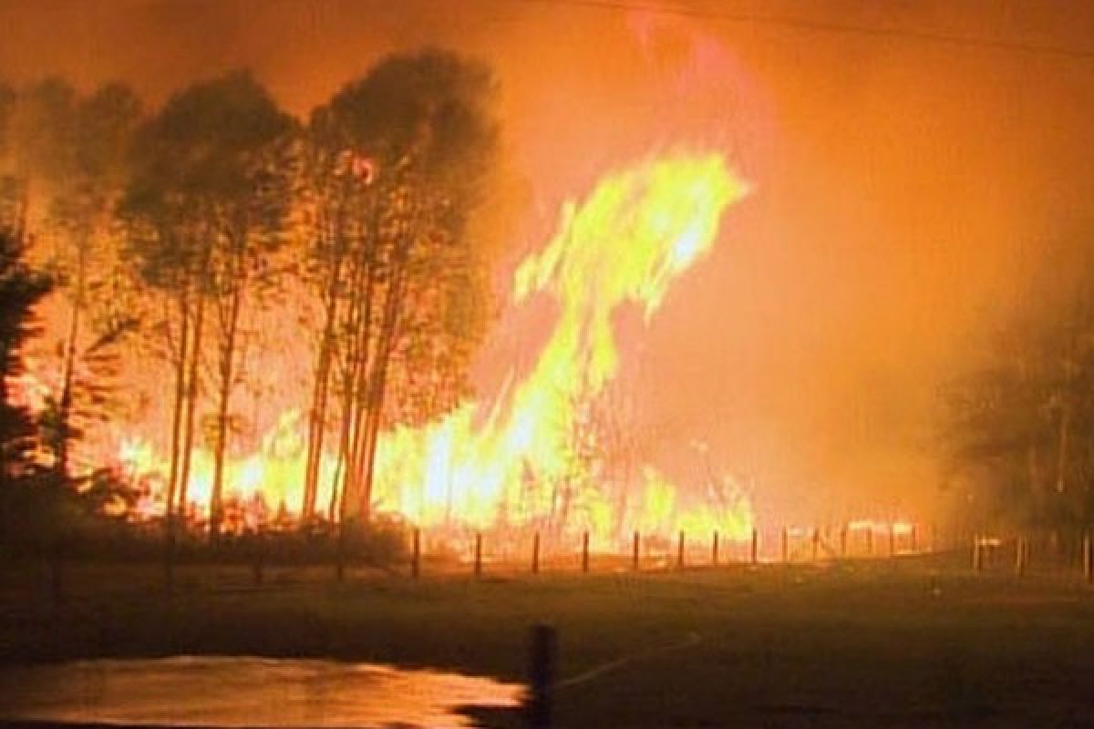 Wildfires rage in U.S.West, destroy 60 homes in Washington state