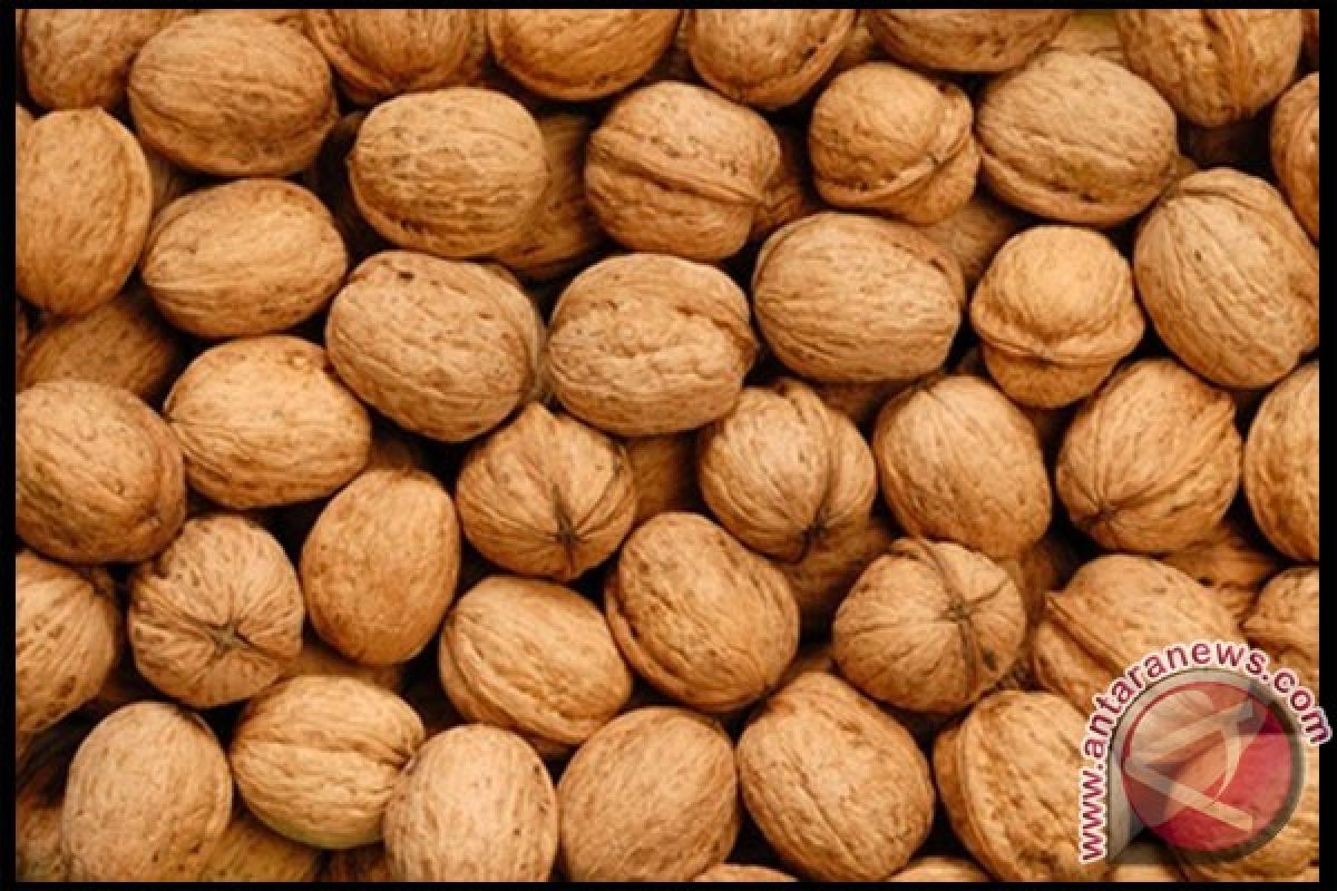 Khasiat kacang kenari untuk cegah diabetes