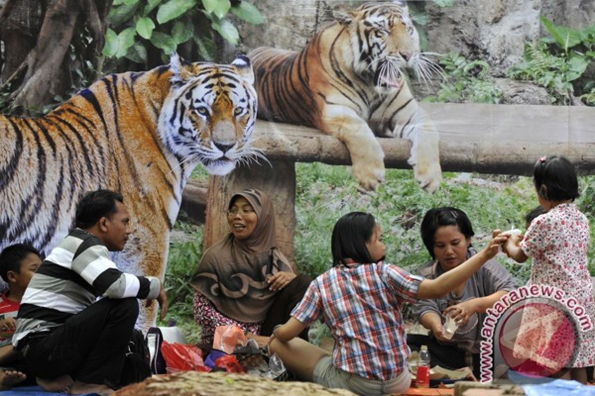 Pramuka dan mahasiswa layani pengunjung Kebon Binatang Ragunan