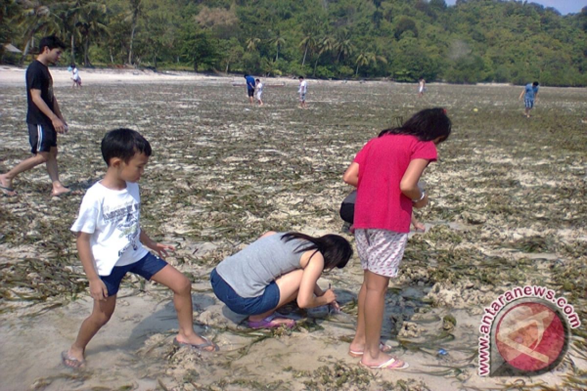 Jalan Menuju Pantai Di Lampung Rusak