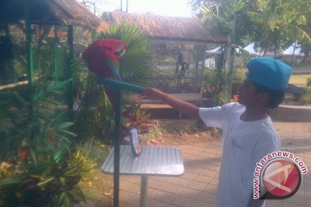 Burung Langka Sedot Perhatian Pengunjung