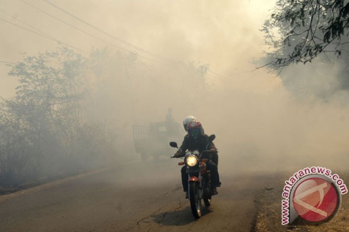BMKG: Pekanbaru dilanda polusi haze