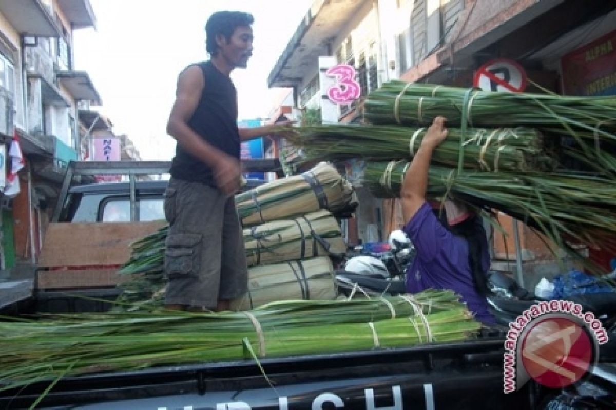 Harga Janur Melonjak