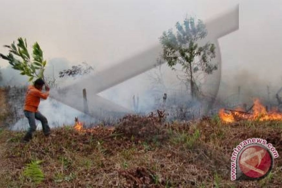 150 hektare hutan lereng Sindoro terbakar