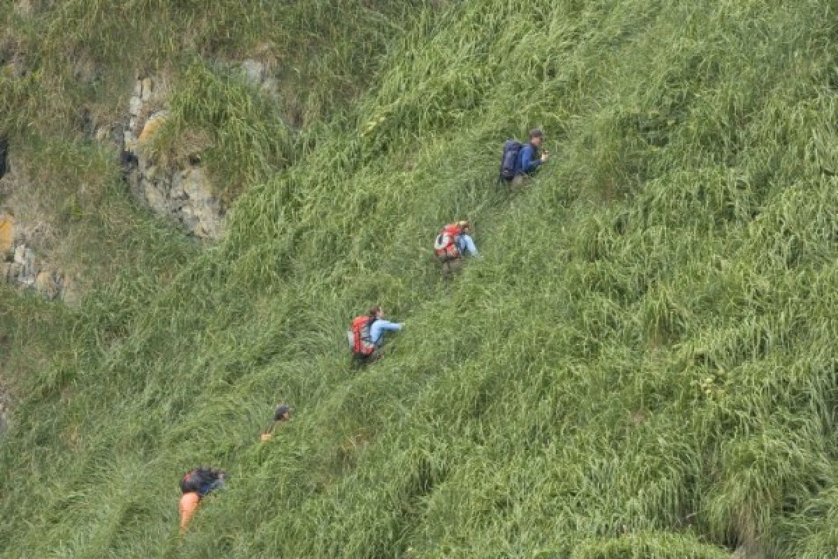 Tiga pendaki Gunung Tampomas Sumedang tewas kedinginan