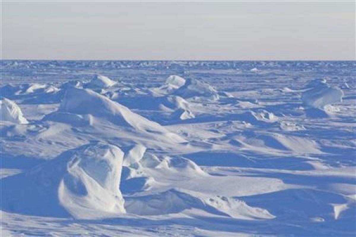 Arctic sea ice at record low