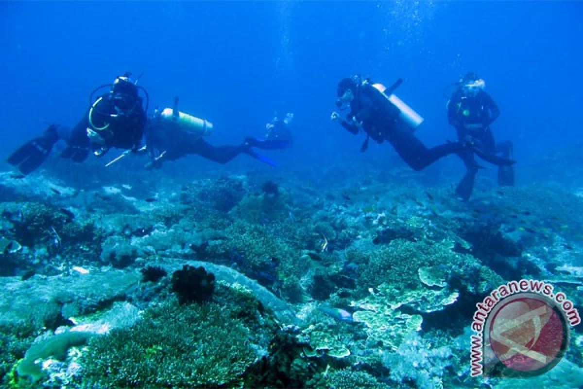 Empat alasan menyelam di Gorontalo