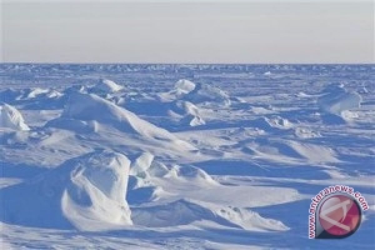 Suhu Kutub Utara Capai Titik Terpanas