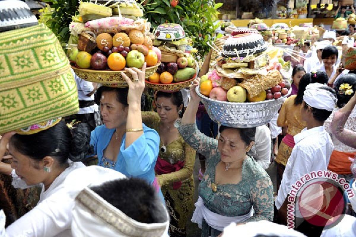 Masyarakat Bali potong babi secara massal