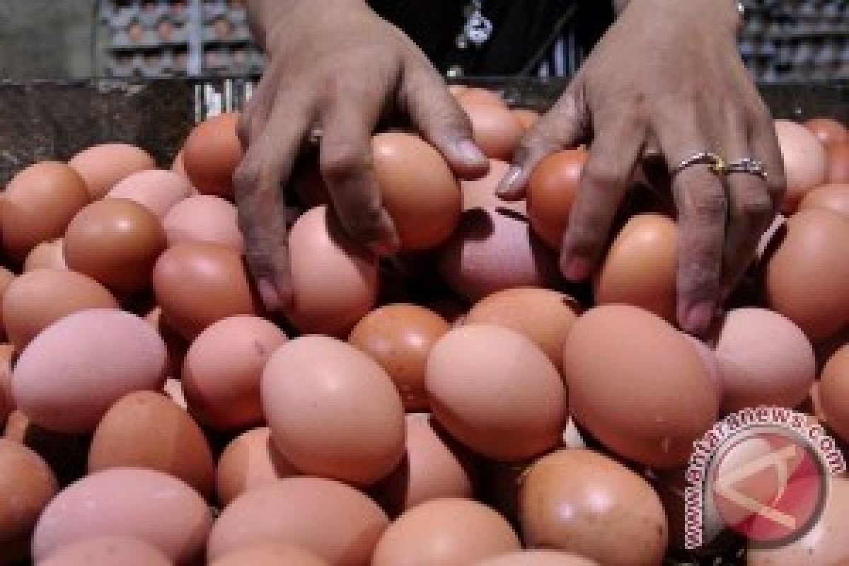 Harga Telur dan Gula Naik