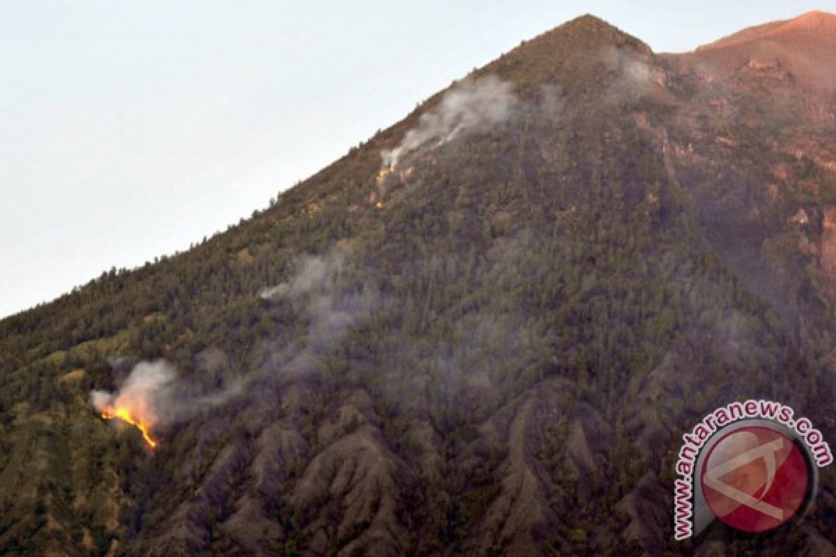 Puncak Gunung Batukaru Bali terbakar