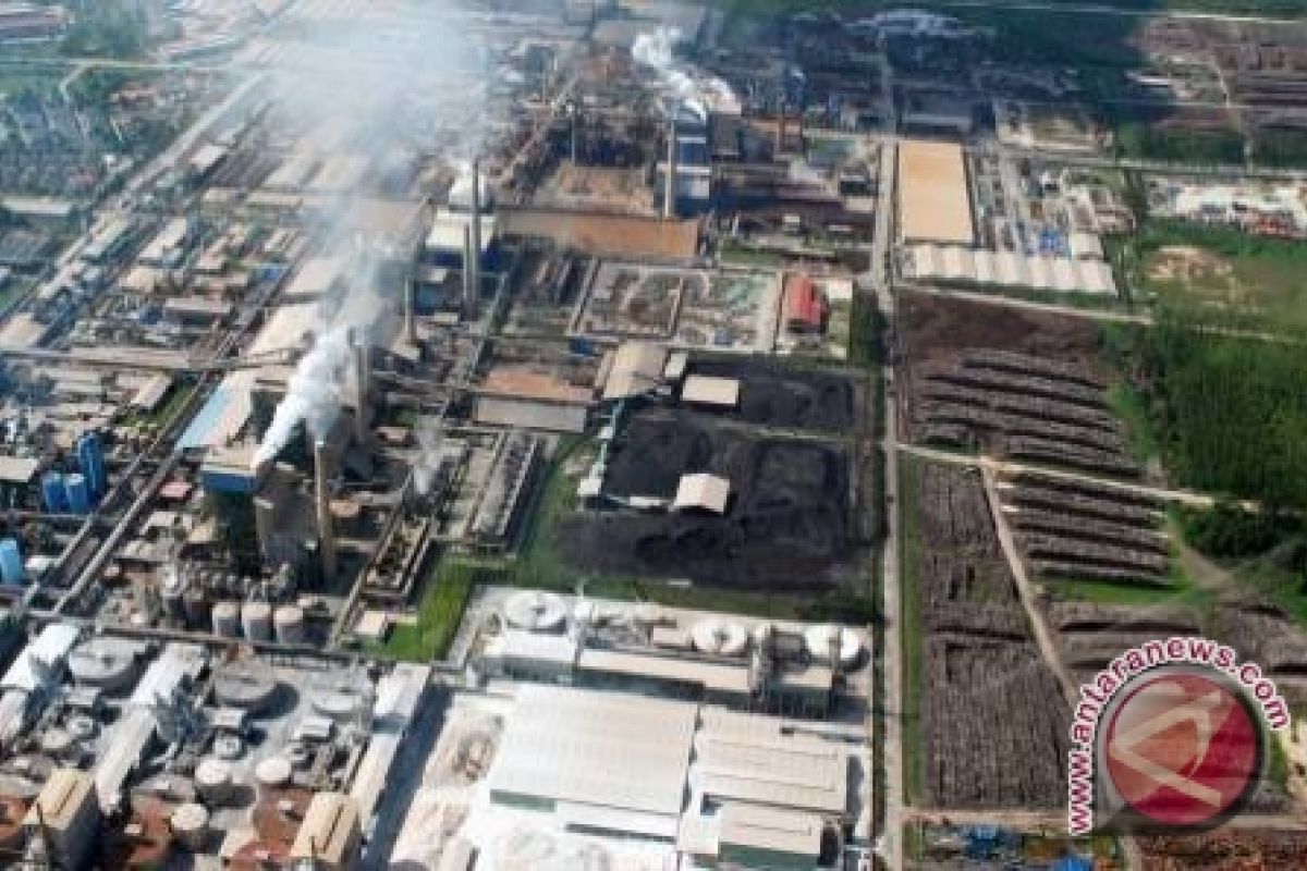 Sinarmas dirikan pabrik bubur kertas