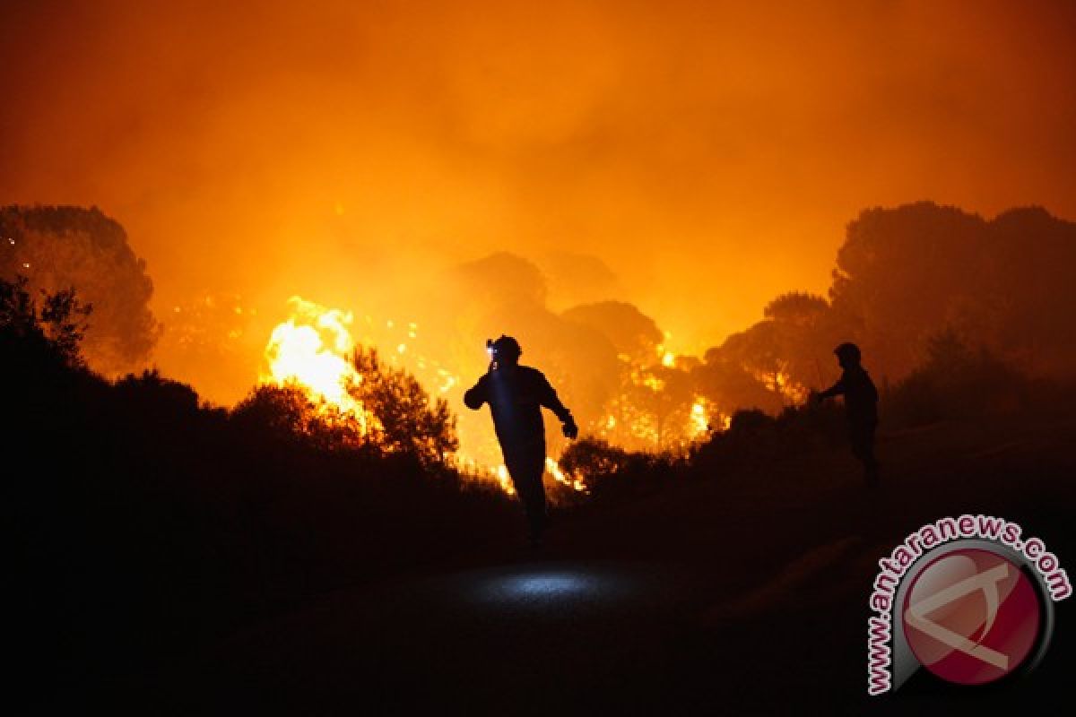 1.400 orang diungsikan akibat kebakaran hutan Spanyol