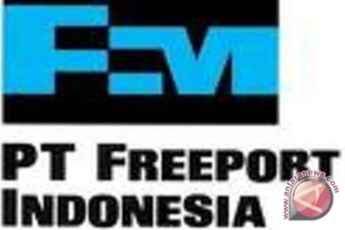 Freeport Tunggu Rekomendasi Tim Pemerintah Untuk Produksi