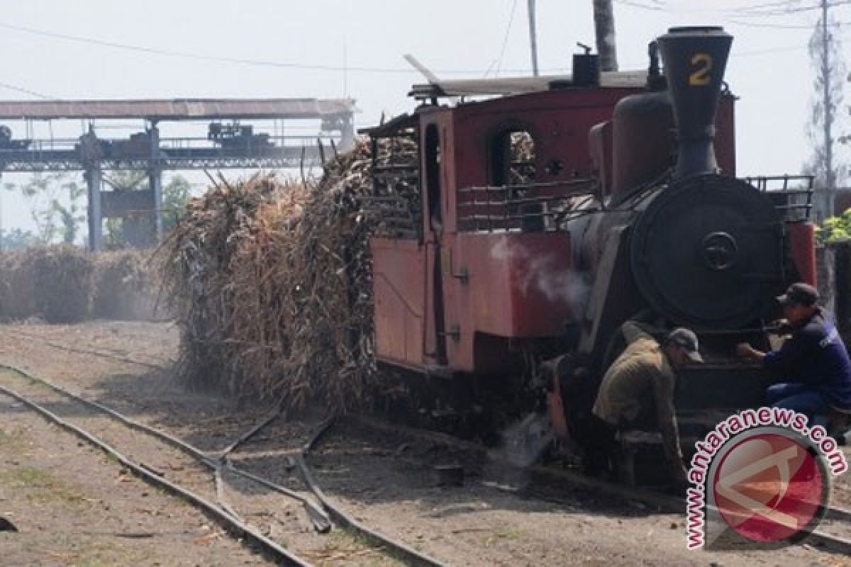 Kementan bentuk tim penilai rendemen tebu