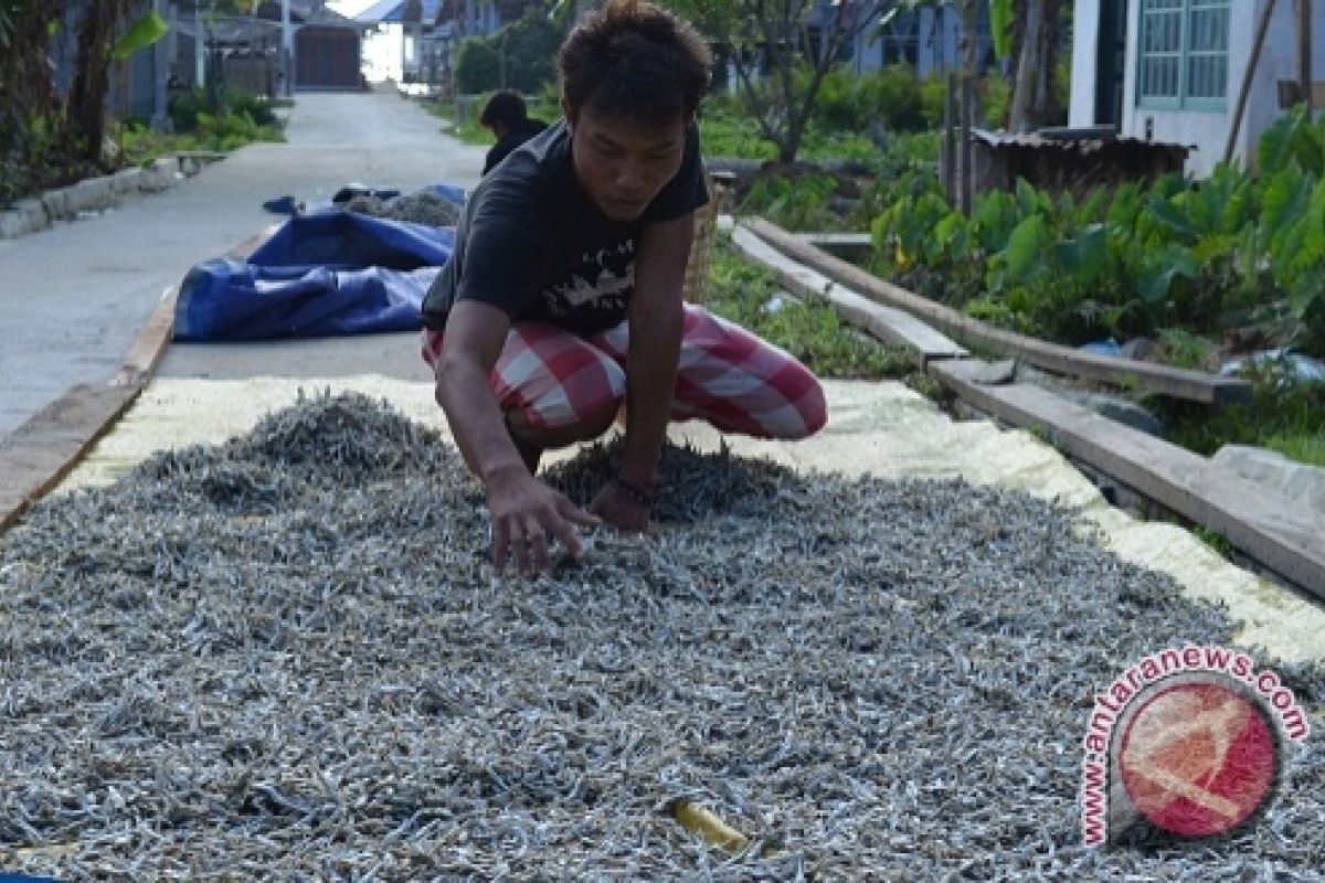 Masyarakat Pulau Lemukutan Lepaskan Diri dari Ketertinggalan 