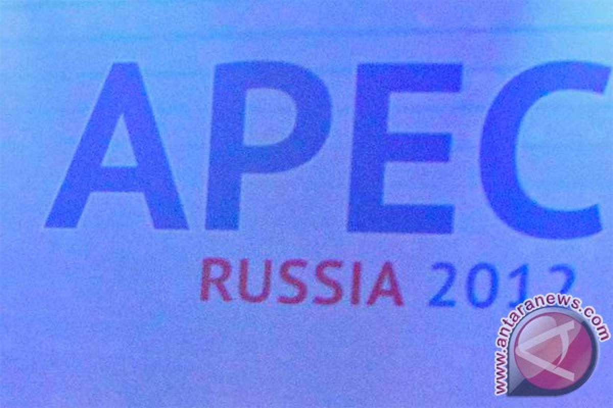 Advanced nations use APEC for market expansion: Observer
