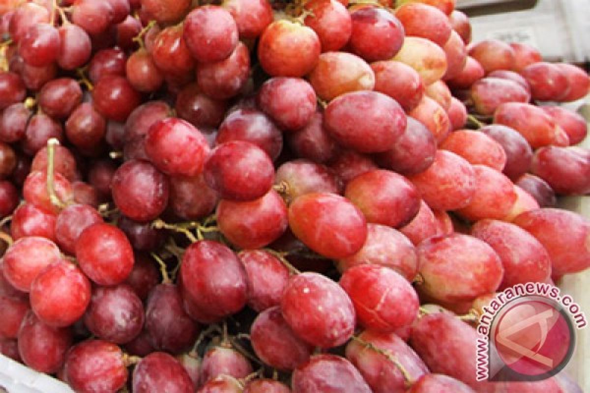 Anggur merah dan bluberry dapat tingkatkan kekebalan tubuh