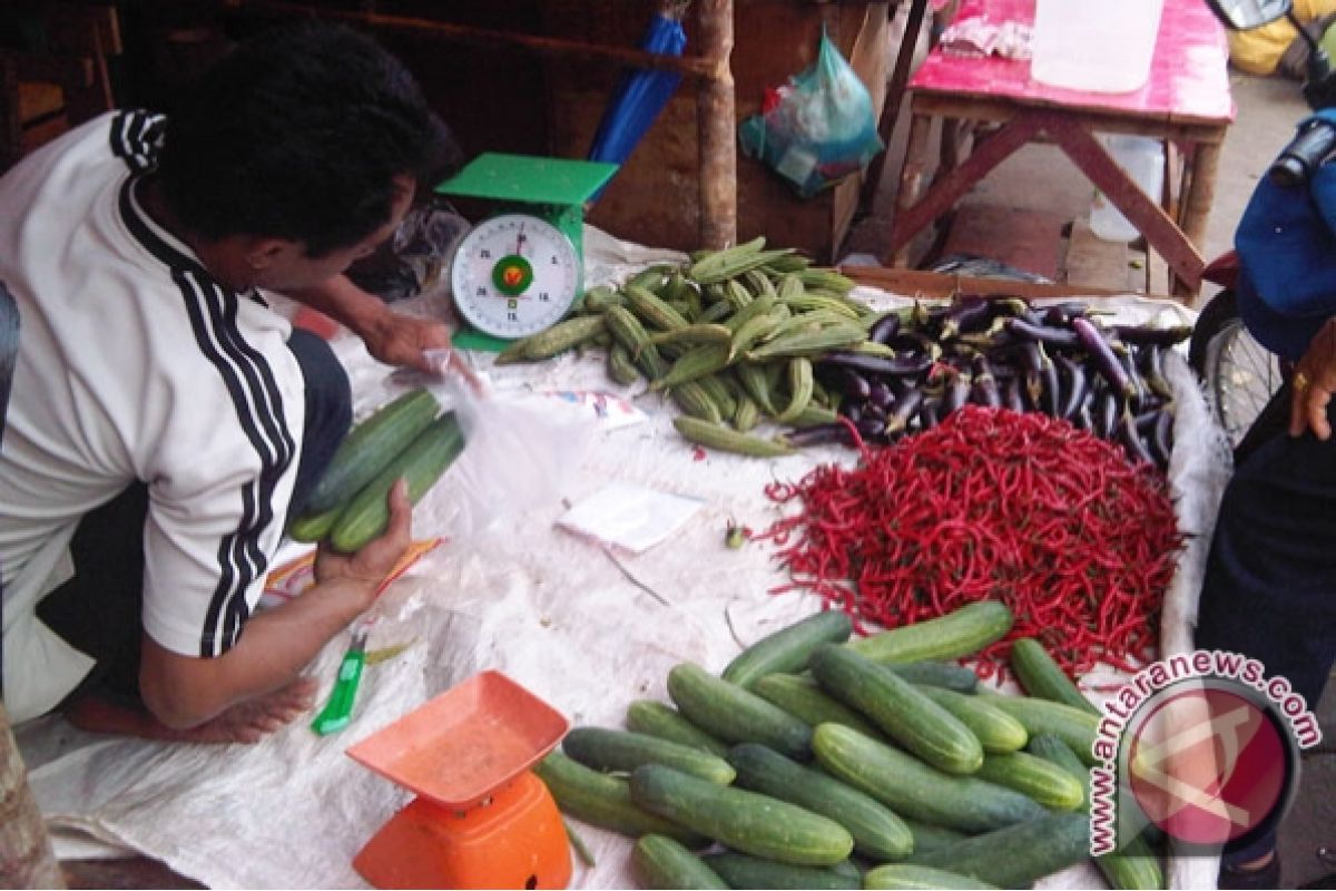 Harga cabai panjang  merah keriting  di Bengkulu Rp17.000/kg 