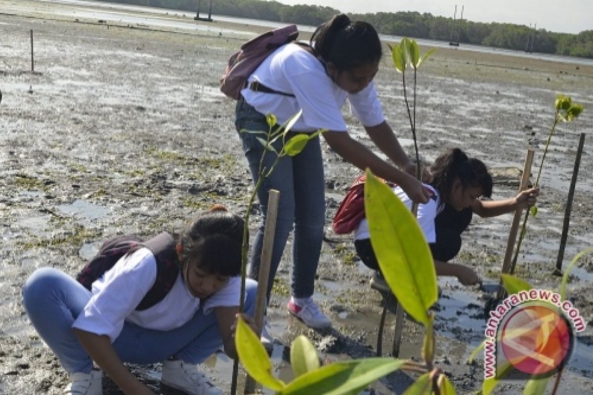 Pertamina Ajak Siswa Tanam Bakau Di Bali