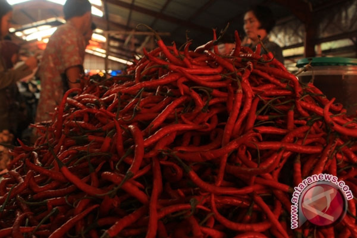 Cabai merah picu inflasi di Kota Bengkulu