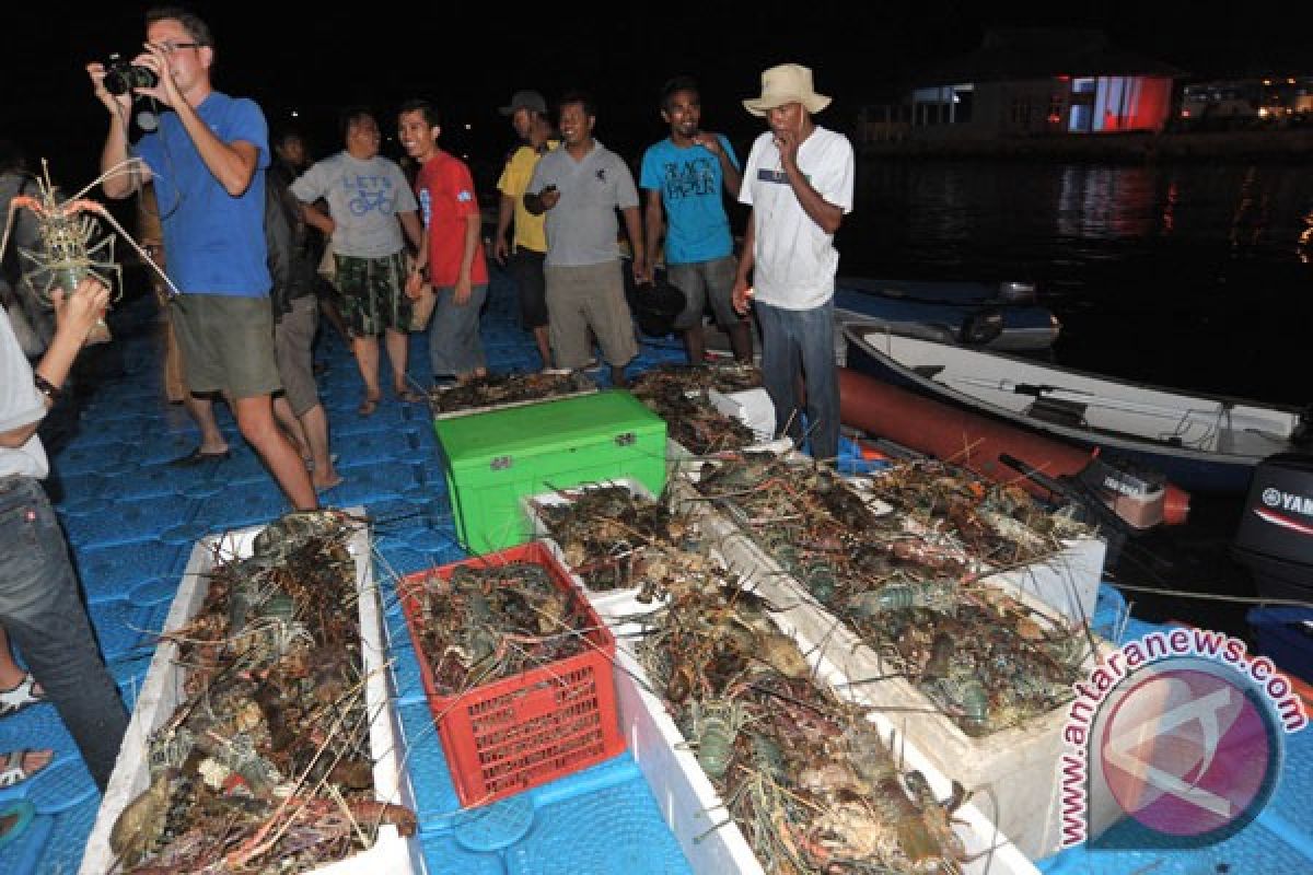 Komisi IV DPR dukung Malut jadi lumbung ikan nasional
