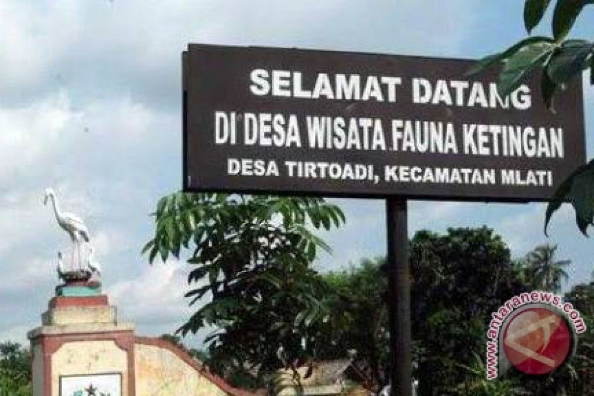 Kembang api akibatkan burung kuntul ketingan migrasi