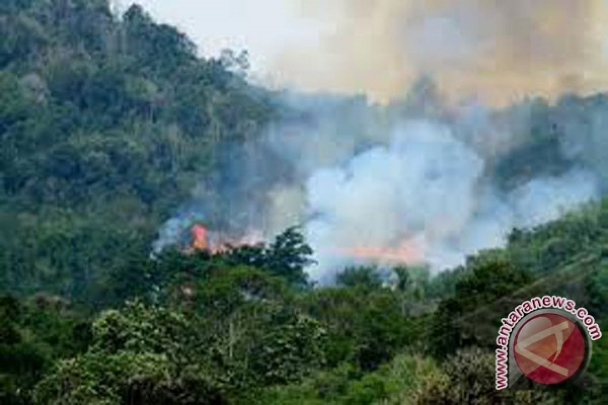 Muncul 45 titik panas di sumatera