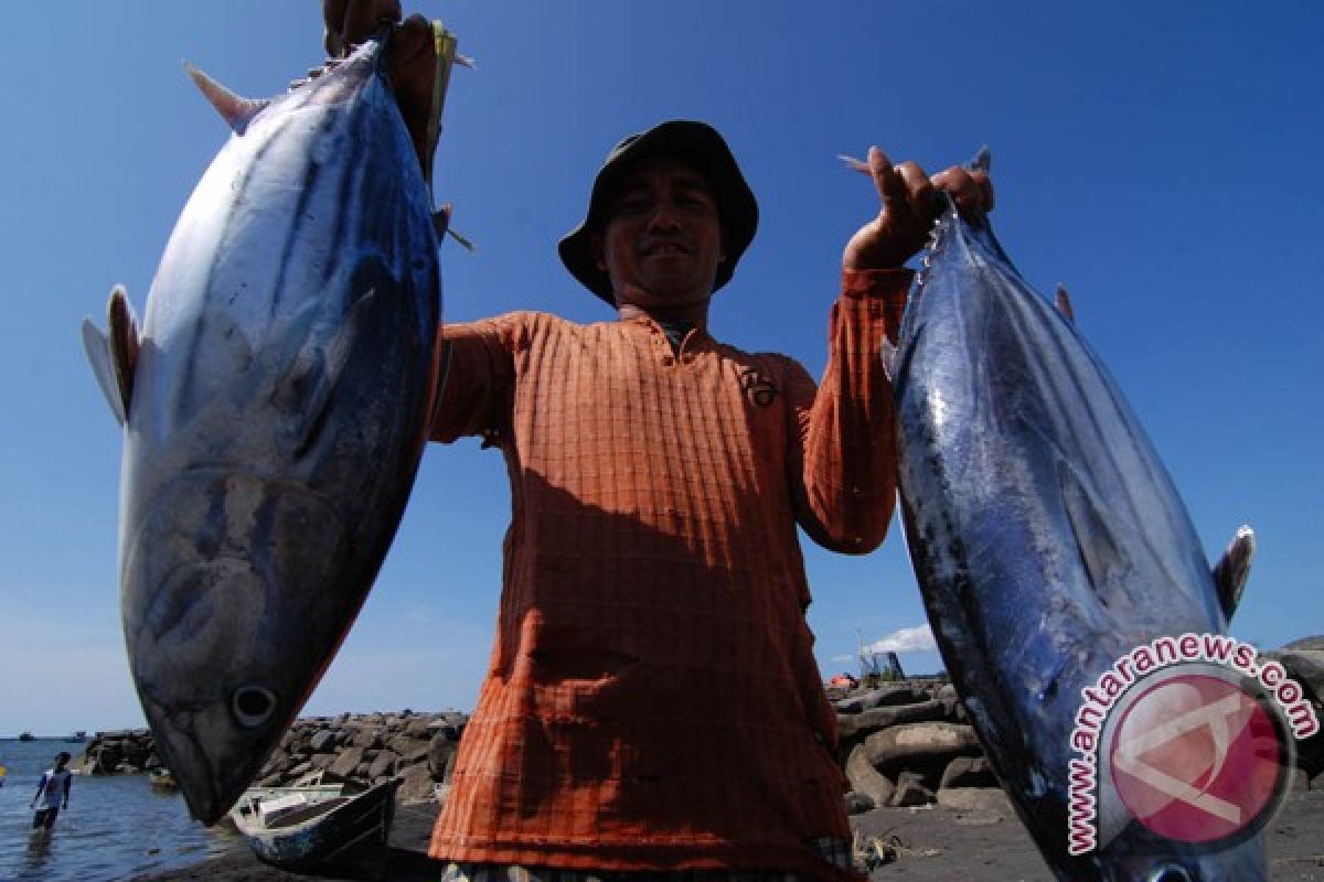 Ekspor ikan tuna Bali naik 1,1%