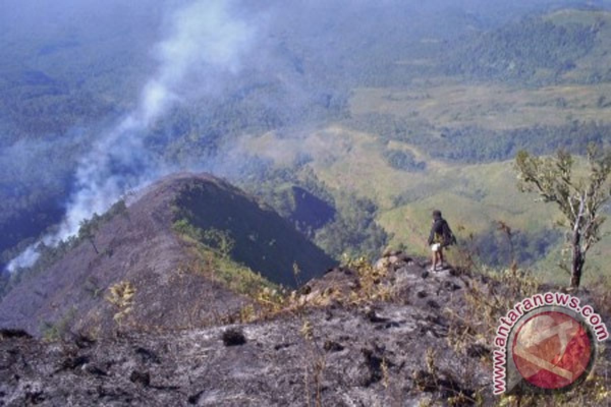 40 persen hutan KPH Rinjani Barat rusak