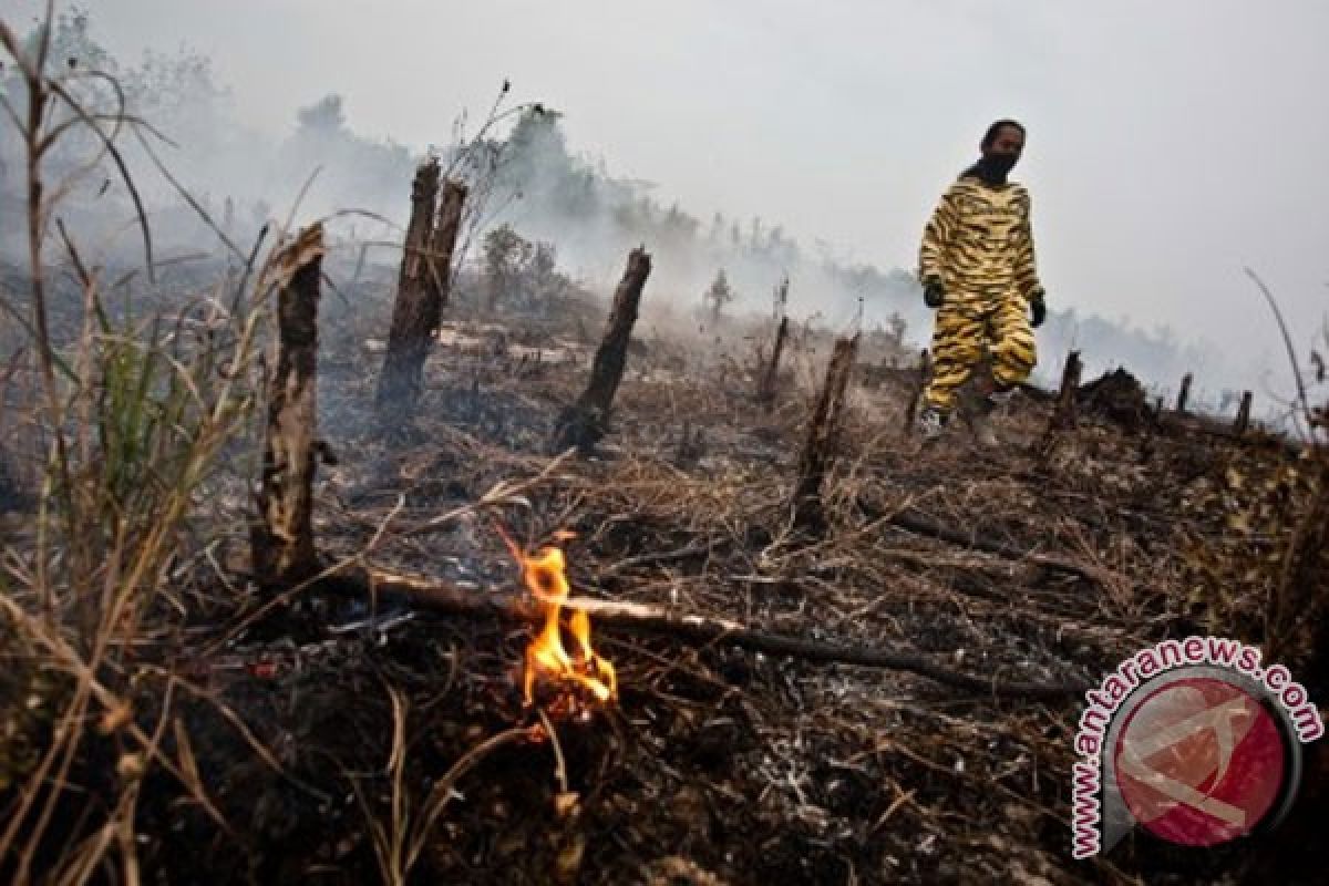 Hilangnya nol deforestasi sawit di INDC dipertanyakan