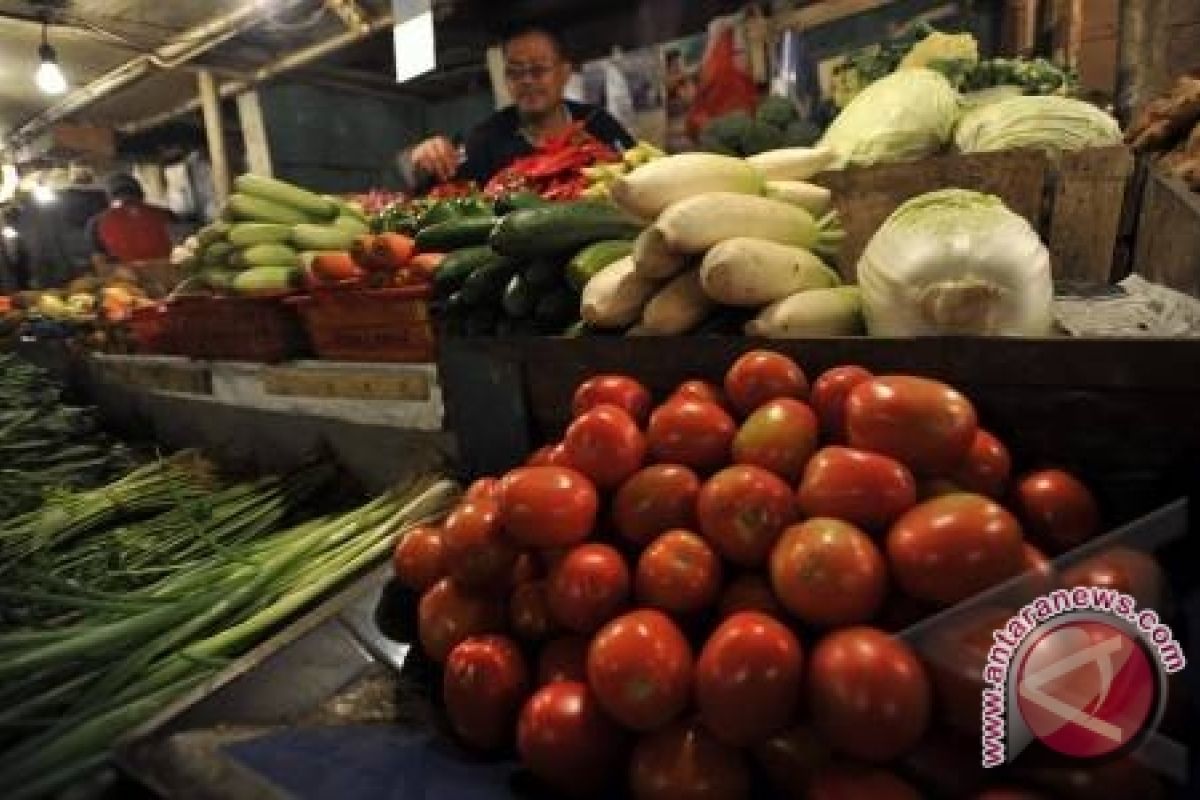 Distan Kalbar Dorong Petani Kembangakan Hortikultura