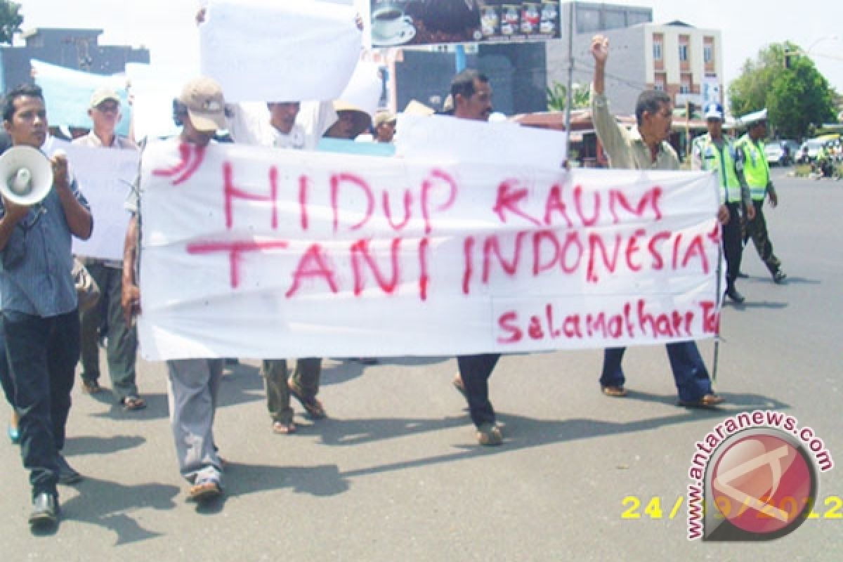 Peringati hari tani, petani bengkulu minta peningkatan kesejahteraan