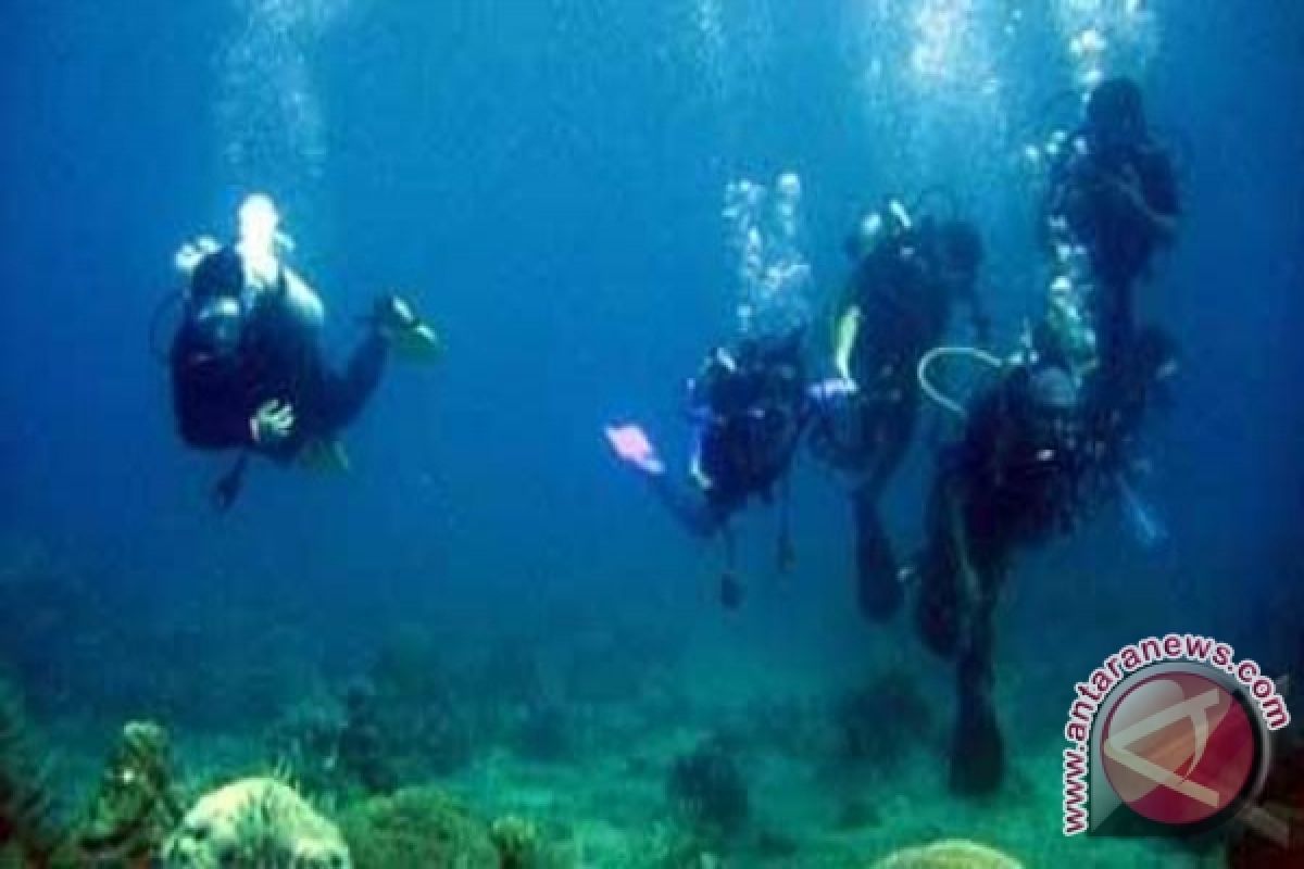 Banyak spot diving Parigi Moutong rusak akibat gempa