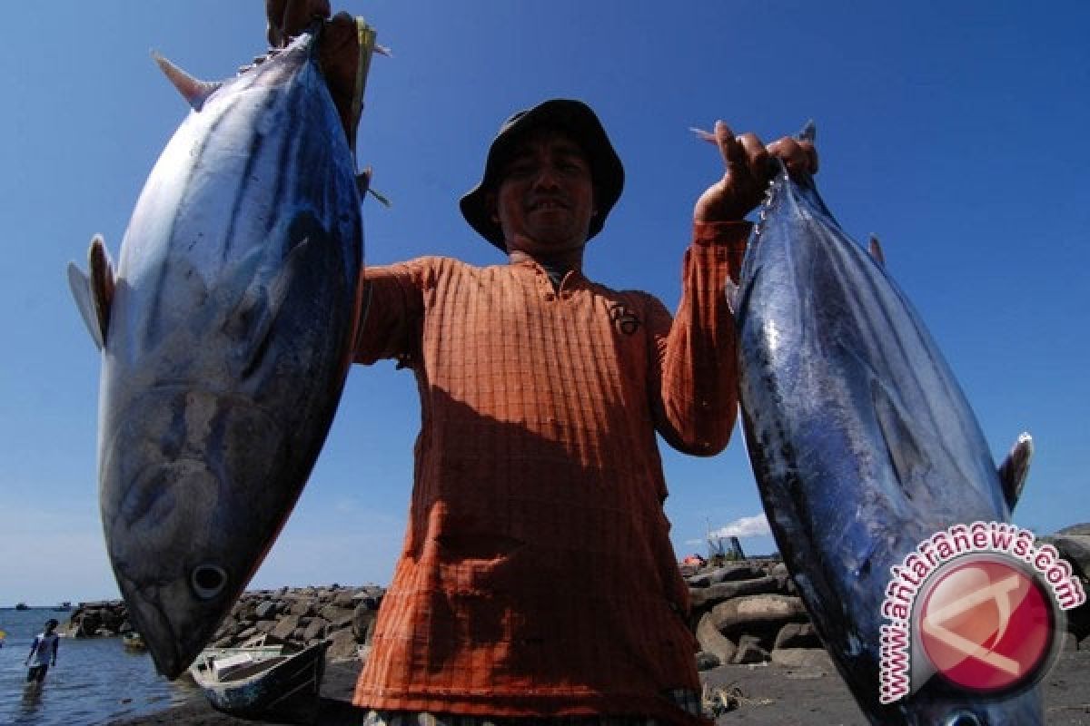 Donggala Genjot Sarana Penangkapan Ikan Untuk Nelayan 