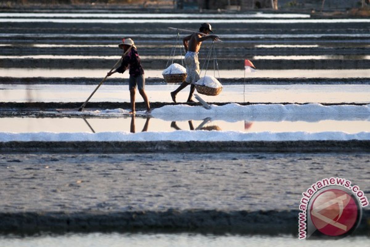 Industri garam Bipolo berproduksi Mei