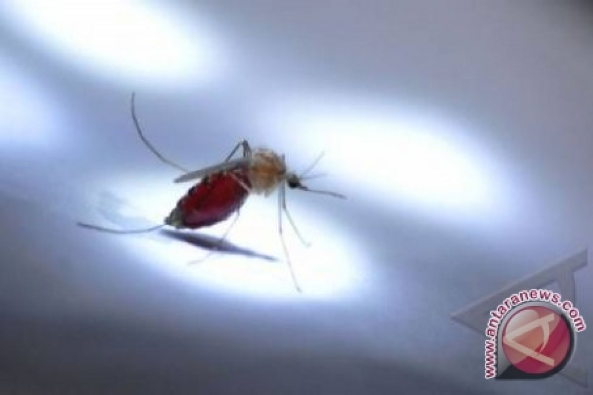 Virus Zika belum terdeteksi di Sumsel 