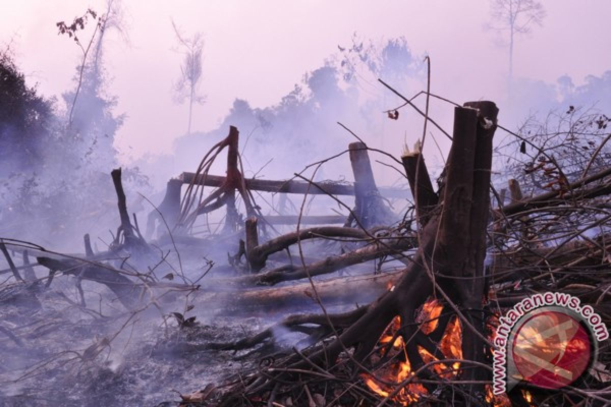 2.800 orang berusaha padamkan kebakaran hutan di China
