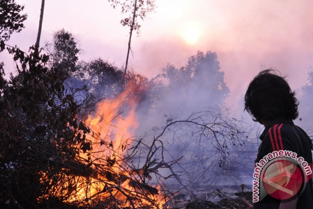 Kabut asap ancaman martabat bangsa