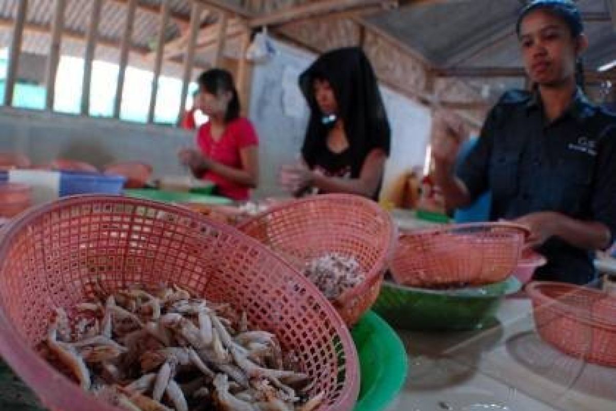 KADIN dan OICIBC Buka Peluang Negara Islam