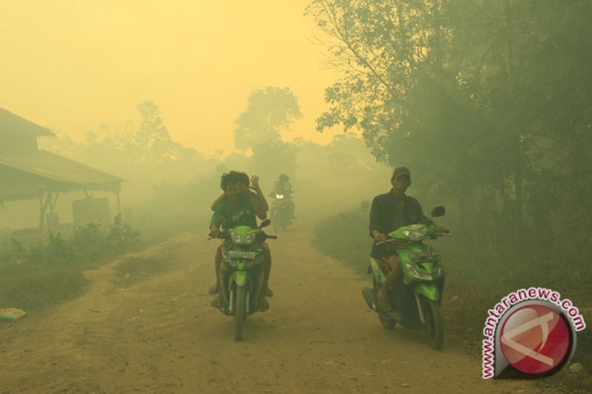 Pemukiman warga dipenuhi asap kebakaran cagar alam