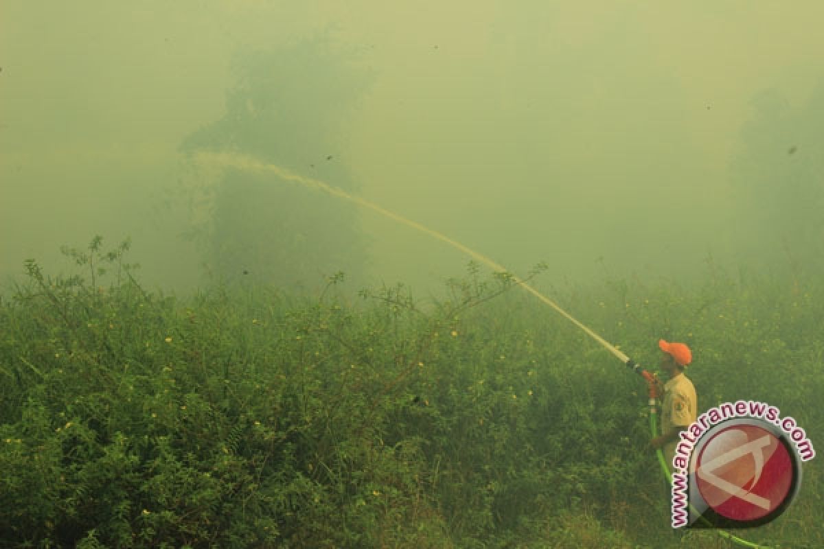 Titik panas kebakaran lahan di Indonesia meningkat